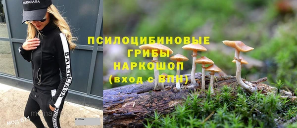 мдпв Арсеньев