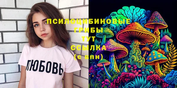 мдпв Арсеньев